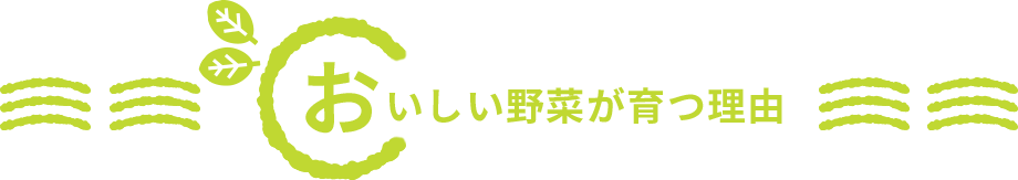 おいしい野菜が育つ理由