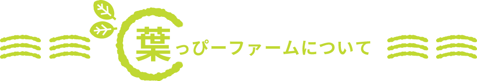 葉っぴーファームについて