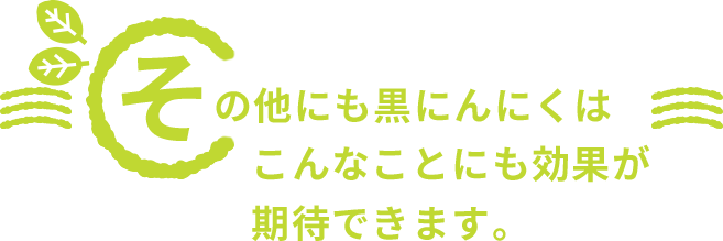 その他にも黒にんにくはこんなことにも効果が期待できます。