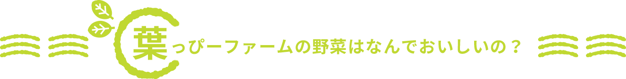 葉っぴーファームの野菜はなんでおいしいの？