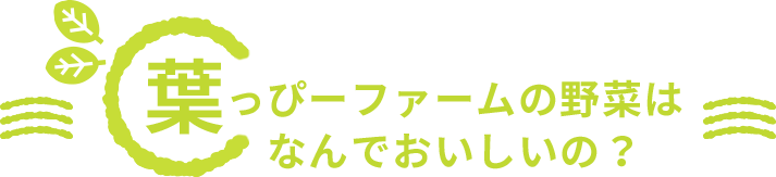 葉っぴーファームの野菜はなんでおいしいの？