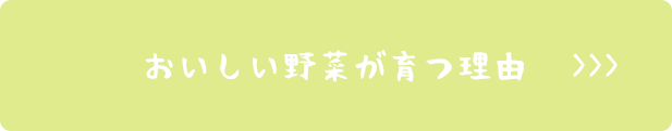 おいしい野菜が育つ理由