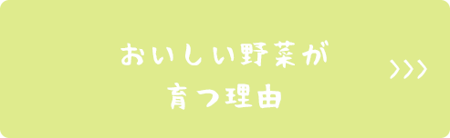 おいしい野菜が育つ理由